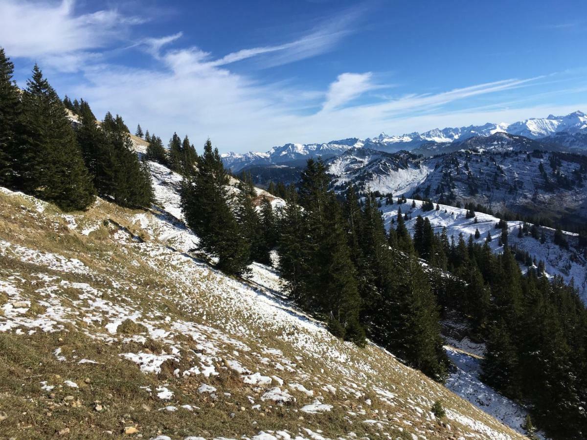 Allgaeu Haus Isny im Allgäu Dış mekan fotoğraf