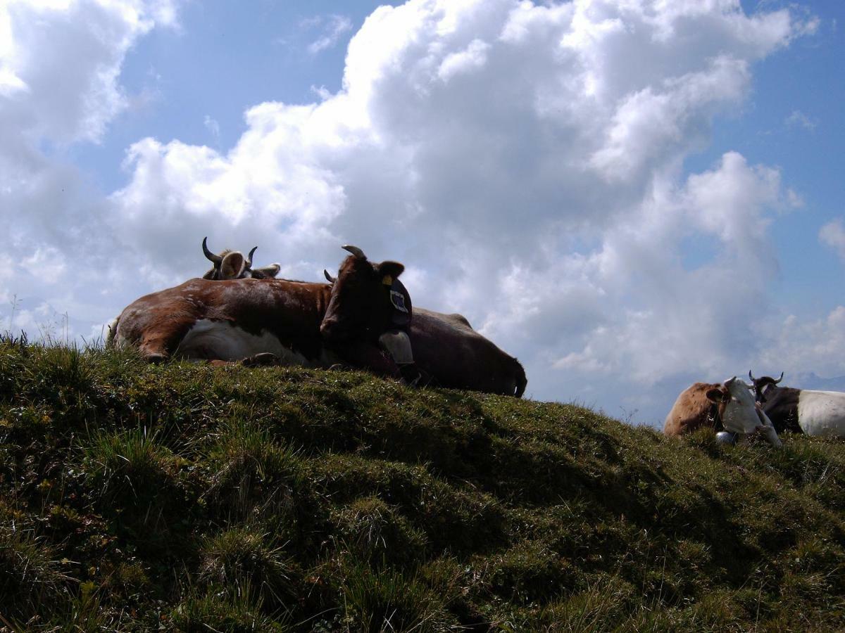 Allgaeu Haus Isny im Allgäu Dış mekan fotoğraf