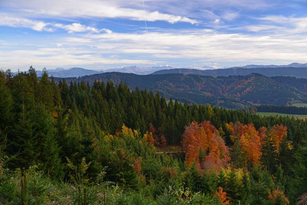 Allgaeu Haus Isny im Allgäu Dış mekan fotoğraf
